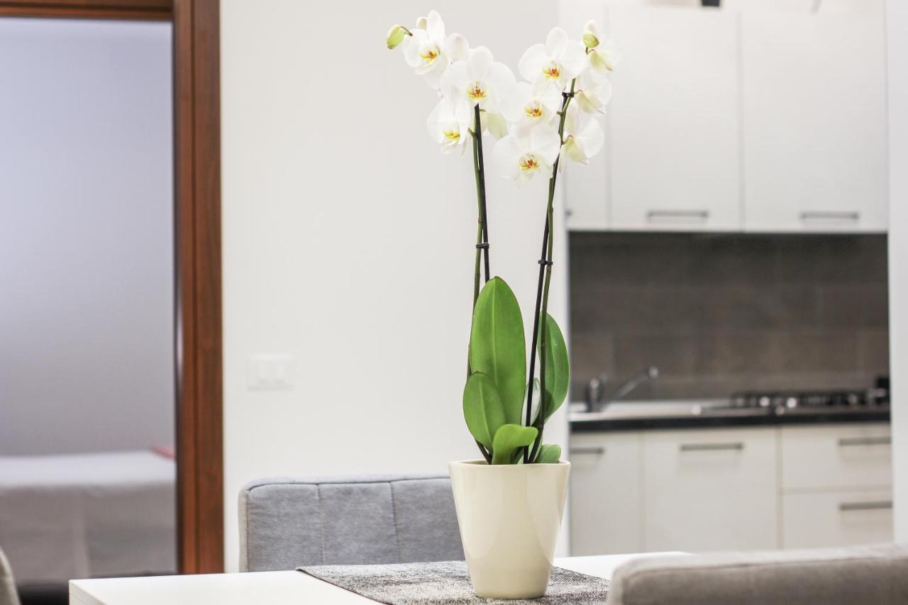 Al Maso In Centro B&B L'Aquila Ngoại thất bức ảnh